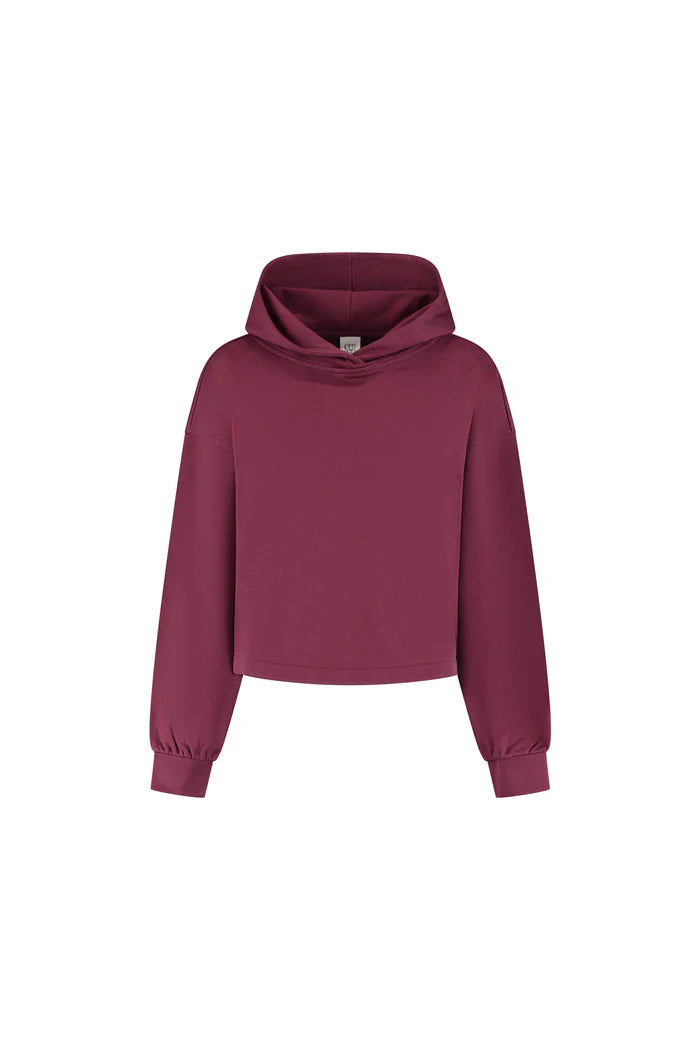 Amelia Cropped Hoodie- Maroon